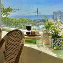 마이오리진 이미지