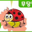 보누 Daum카페