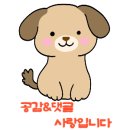 우리골프장 | 제주도 회천동 파크골프장 방문 후기 (AB 코스)
