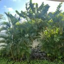 동부기사식당 | 발리 동부투어 코스 인스타 투어, 택시투어 가이드로 편하게 즐기는법