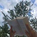 서래본가 이미지