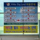 화이트가든&화이트도그랜드 이미지