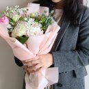 사피니아꽃집