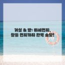 세종솔루션 | 새집 냄새, 걱정 뚝! 새 아파트를 위한 완벽한 솔루션, 세종입주청소 후기요!