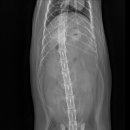 동물병원 더 하임 이미지