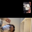 본가구첩반상 이미지
