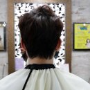 [공지] 남자 머리 커트 김해 펠리체 헤어 후기