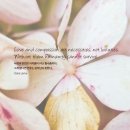 오늘의 '영어 명언'(280강) 달라이 라마(Dalai Lama) 이미지