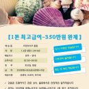 삼성통운 이미지