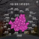 천변3호 | 서울 봄꽃 명소 총정리, 벚꽃부터 튤립 유채꽃까지 한눈에 보기