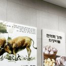 의성마늘소덕향 | [경북 의성군 봉양면 의성마늘소덕향] 현지인 추천한 가성비 좋은 한우와 점심특선 맛집
