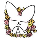 정식한정육점 네이버블로그