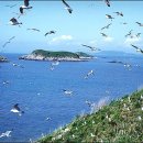 칠산바다