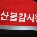 대성세이프티 이미지