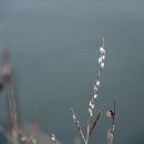 버들목장 이미지