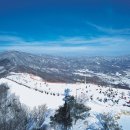 세빈파크 이미지