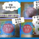 후후탄탄