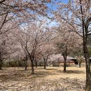 보현민박 이미지