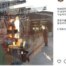 국제티블렌딩연구소 이미지