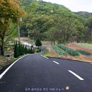 카페수노기