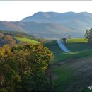 은행나무목장 이미지