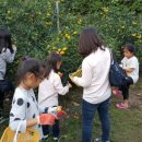 성윤농장 이미지