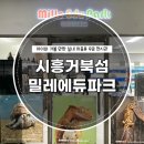 밀레쥬 에듀파크 | 밀레에듀파크 시흥 거북섬 아이랑 갈만한곳 실내 파충류 무료체험전시