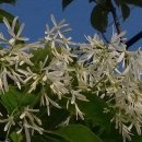 자라마을 이미지