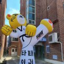 국가대표 타이거 태권스쿨 이미지