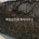보성공인중개사사무소 이미지