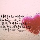 부모사랑주 이미지