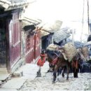 무역로-2 이미지