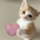 네일또보니 | 6月²