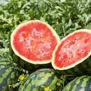 양재퍼스트정형외과의원 이미지