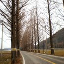 담양-04 이미지