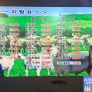 신강꼬지 네이버블로그