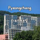 더하루호텔 | 강원도 평창 가성비숙소추천! 더 화이트 호텔 아이랑 숙박후기