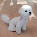 더래미헤어