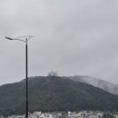 지랄+병 이미지
