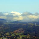 일간목장 이미지