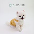 블클레르 이미지