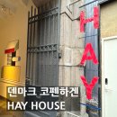 코펜하겐 여행 덴마크 헤이하우스 HAYHOUSE 아식스 운동화 구매후기