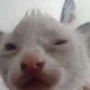 뉴욕PC방 이미지