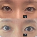이새뷰티 주름마법사 | [부산 속눈썹] 지원뷰티에서 몽고주름 맞춤 속눈썹펌 후기 (대연동 찐 단골 예약!)