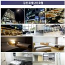 포도룸 이미지