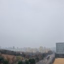 서현고교 앞 이미지