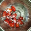 청토 티스토리