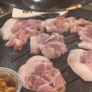 버스정류장(안성축산농협 앞) | 2026년 2월 기록