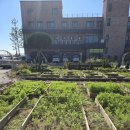 화동농장 이미지