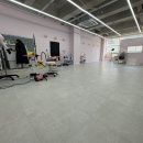 라이크어독 이미지